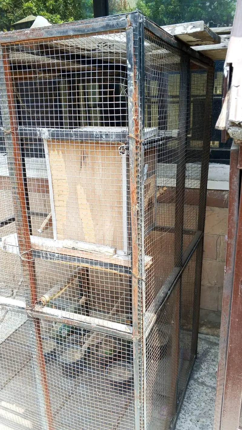 Cage size 4/4.5 /3.5 for sale location Rawalpindi peshawar — photo 3