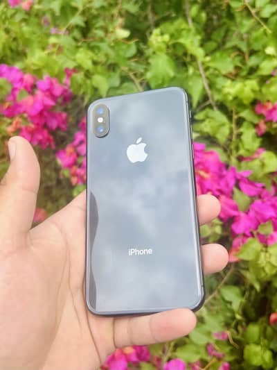 Iphone x pta approved