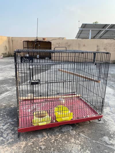 Birds folding Cage