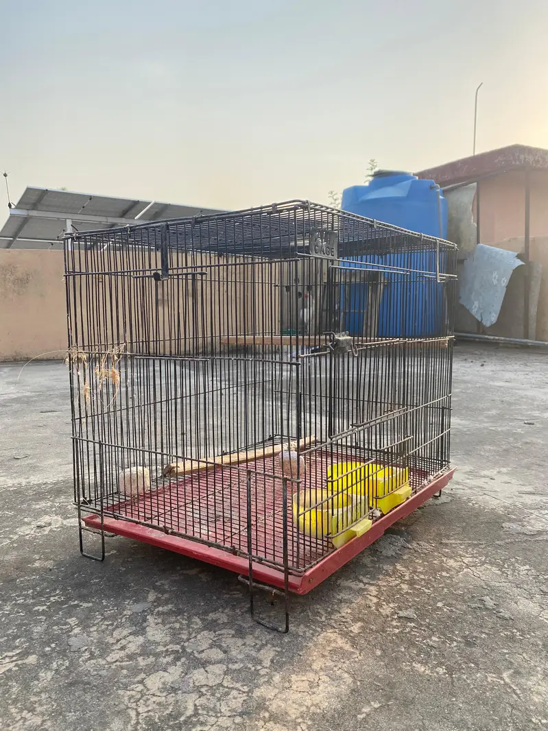 Birds folding Cage — photo 2