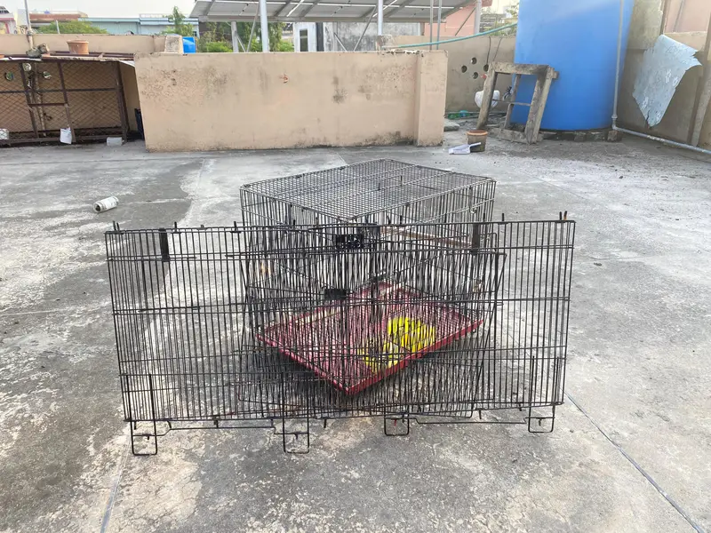 Birds folding Cage — photo 3