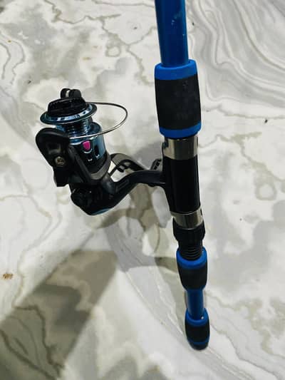 Fishing rood plus reel