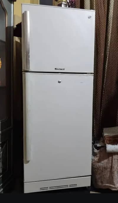 pel medium sized fridge