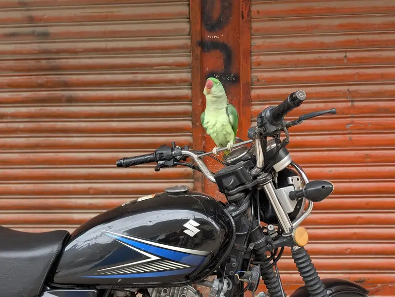 hend team ha or tocking bhe kar ta ha or bacho ka sat Khali ta bhe ha — photo 2
