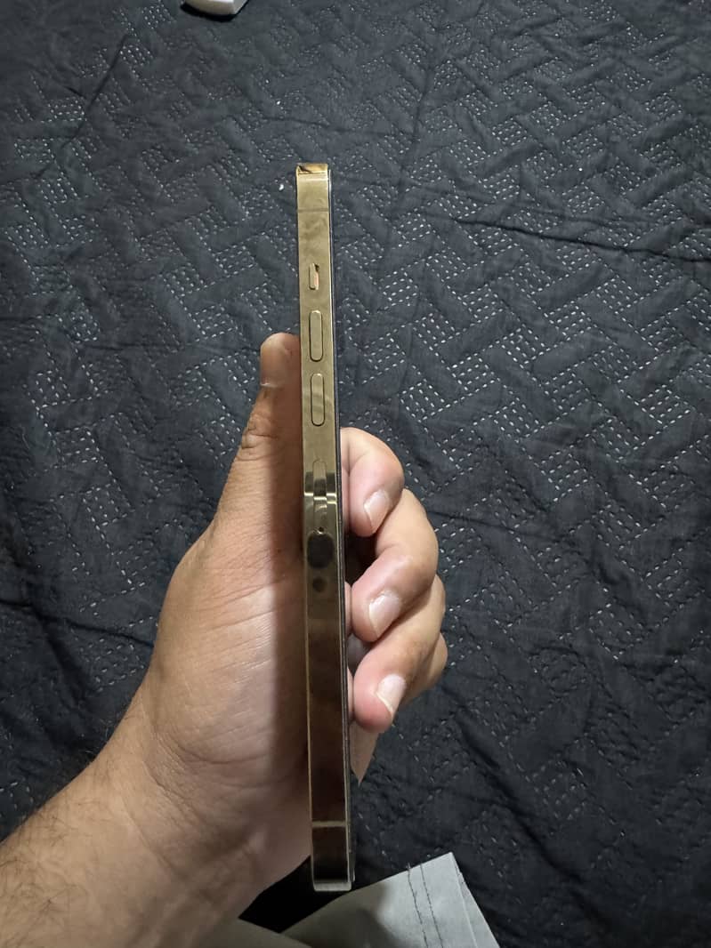 Apple iPhone 13 Pro Max 1