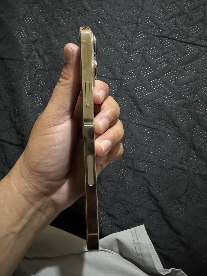 Apple iPhone 13 Pro Max 2