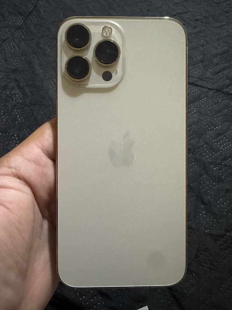 Apple iPhone 13 Pro Max 3