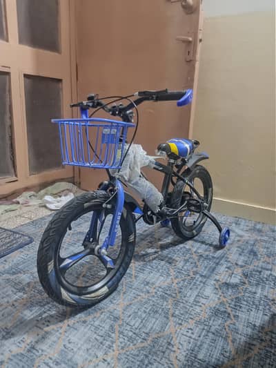 Sport Bicycle