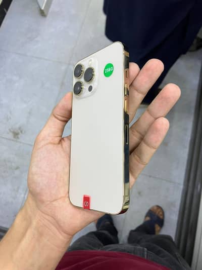 iPhone 13 pro