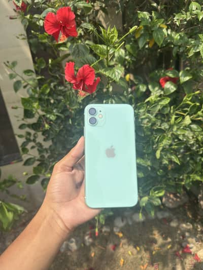 Apple iPhone 11