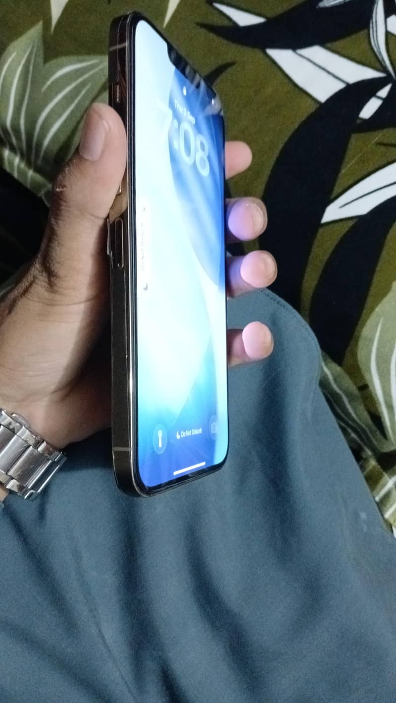 iphone 13 pro Max 1