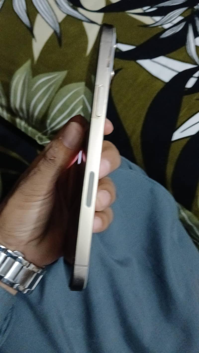 iphone 13 pro Max 2
