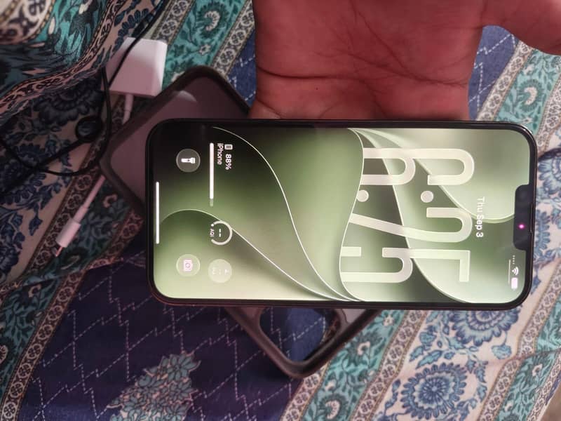 Apple iPhone 13 Pro Max 1