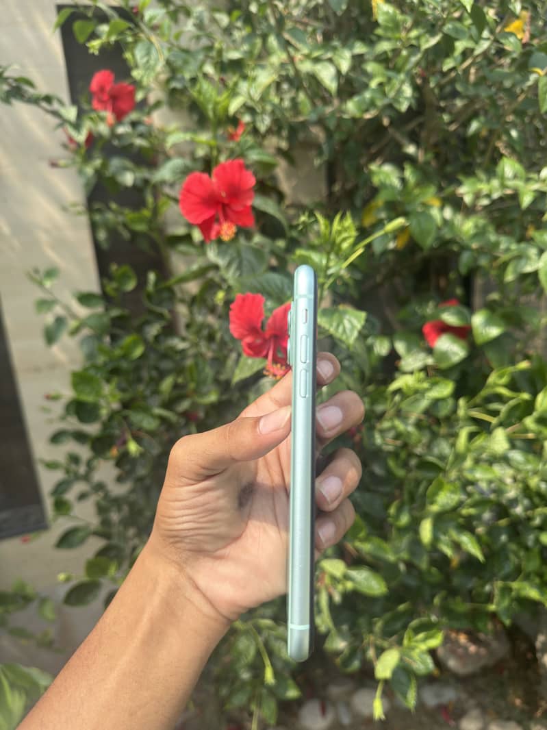 Apple iPhone 11 2