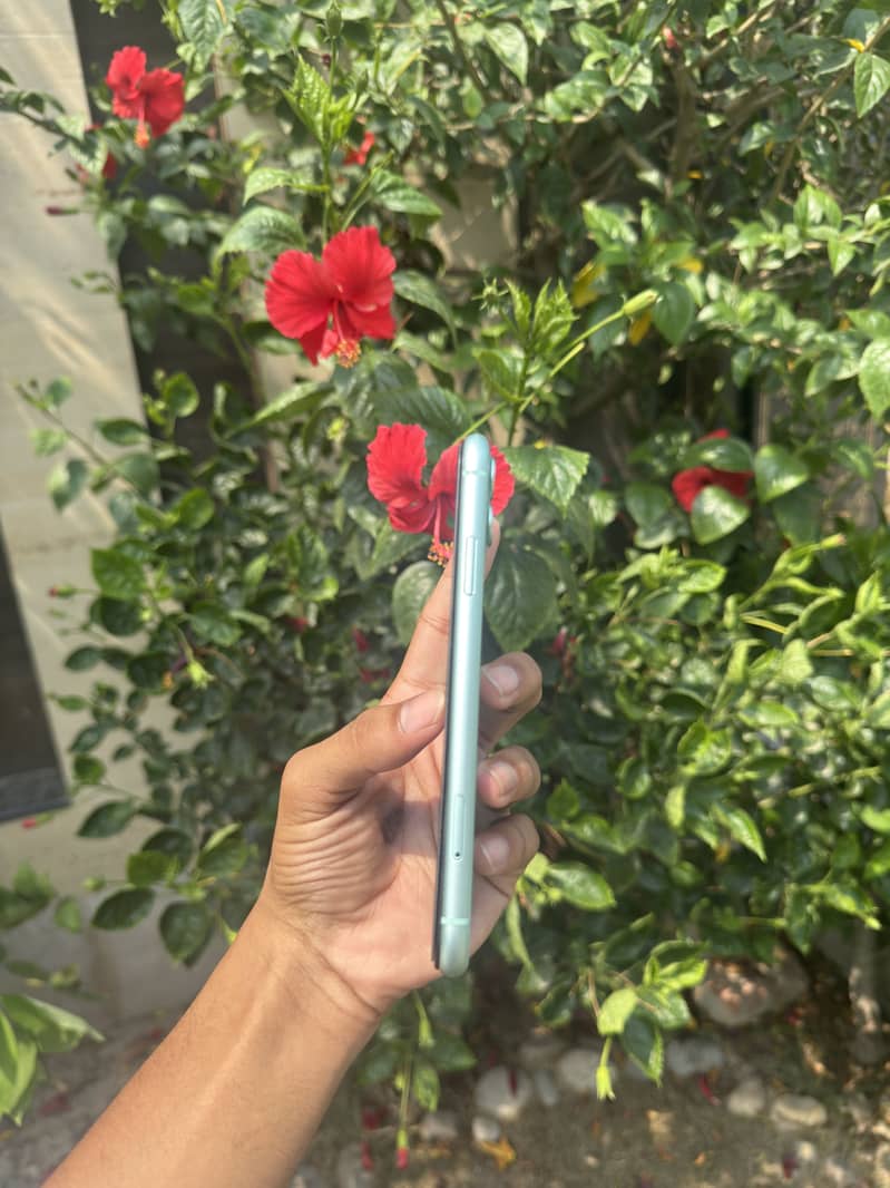 Apple iPhone 11 3