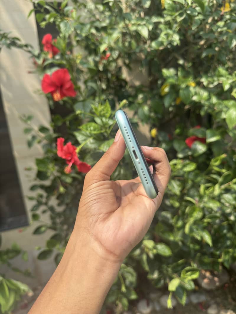 Apple iPhone 11 4