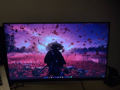 View sonic 24 inch 100hz with monitor arm