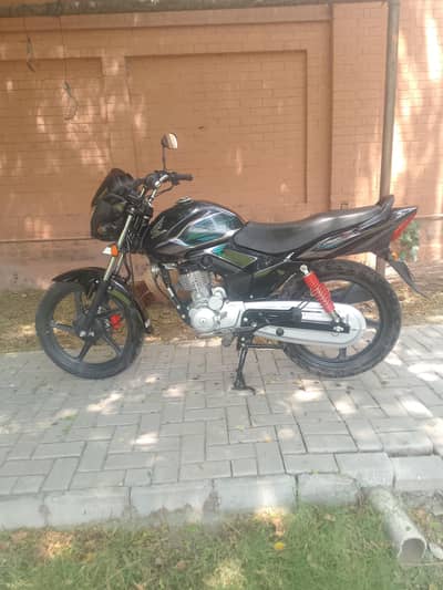 for sale