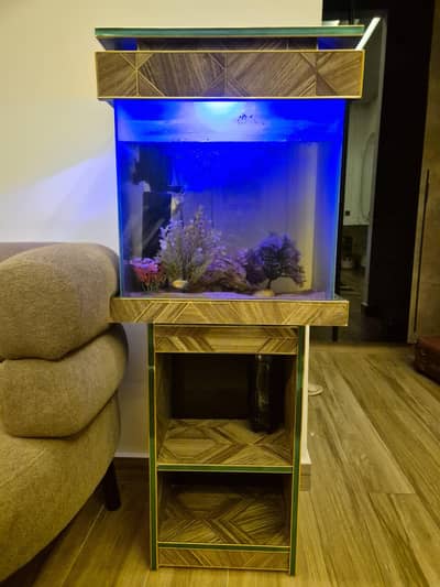 Aquarium and fish for sale Complete setup