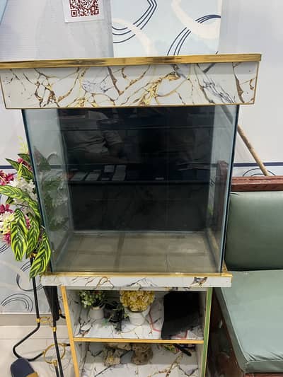 fish Aquarium  for sale