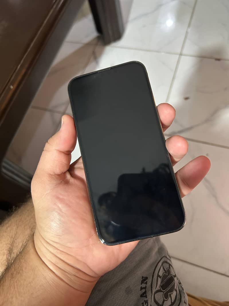 Apple iPhone 13 Pro 1