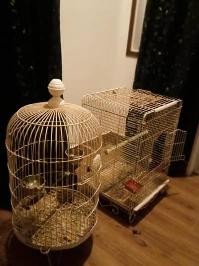 cages raw and ring neck