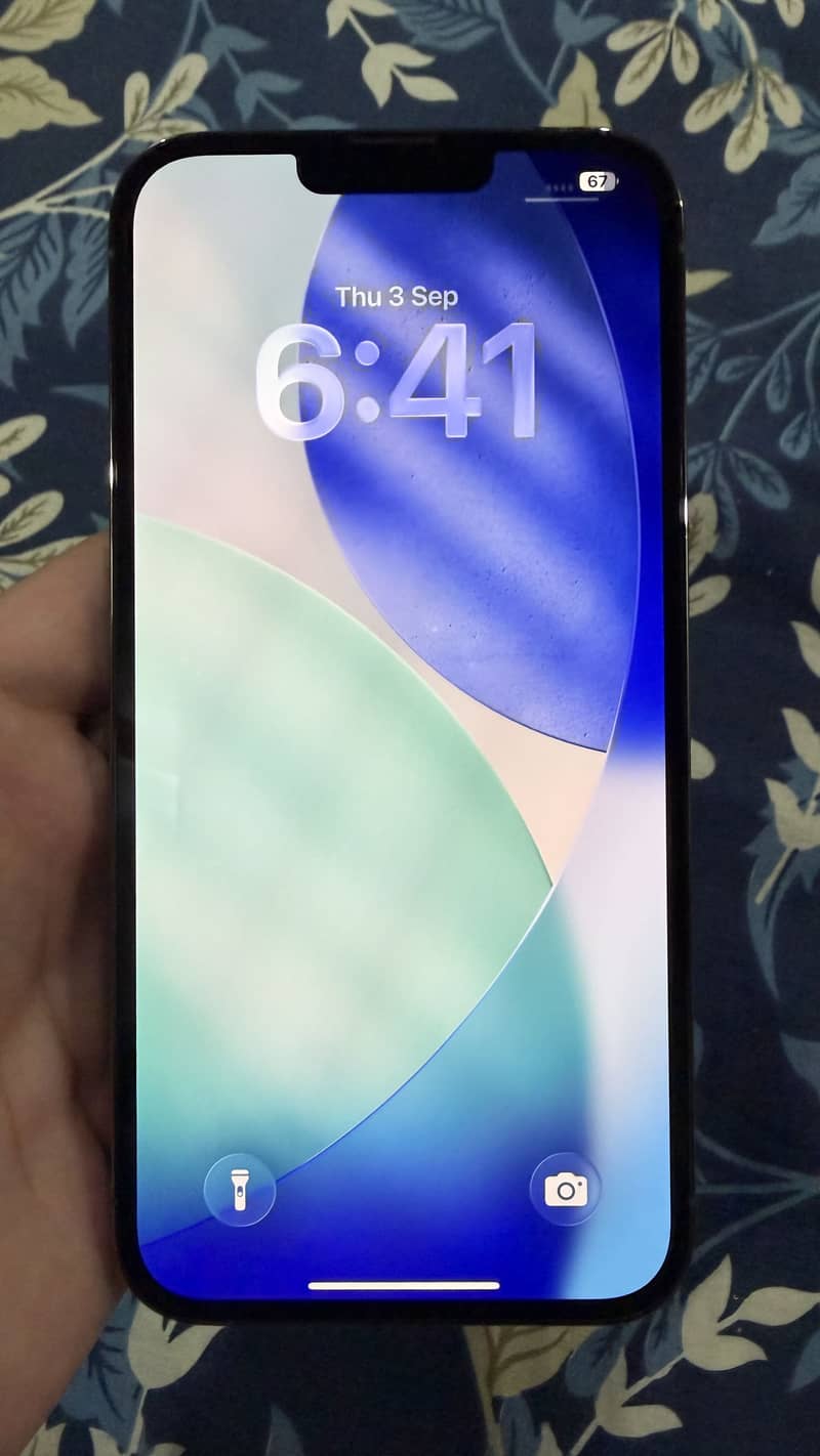 Apple iPhone 13 Pro Max 2