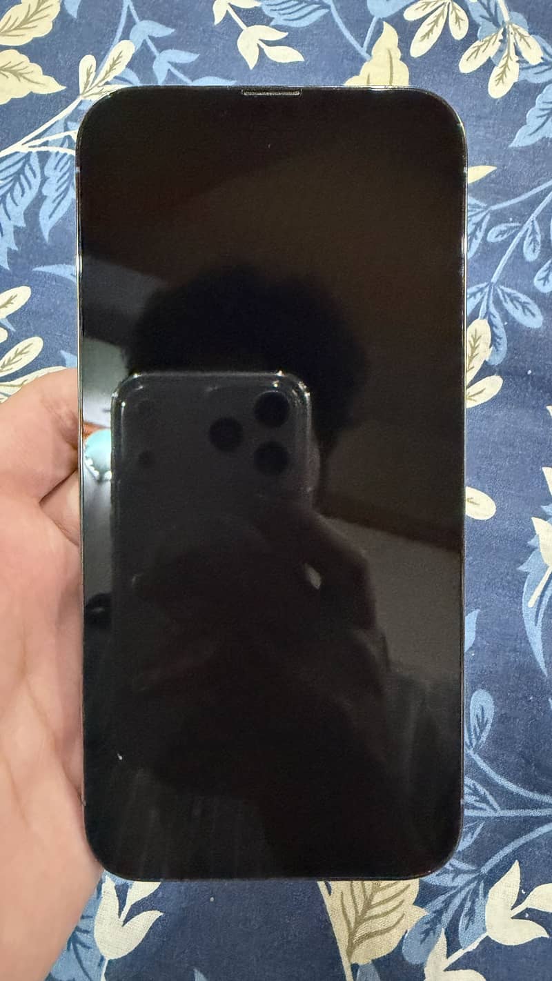 Apple iPhone 13 Pro Max 3