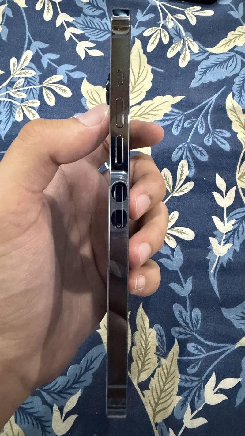 Apple iPhone 13 Pro Max 4