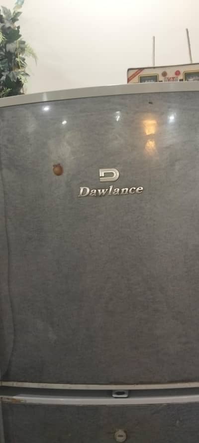 dowlanec fridge