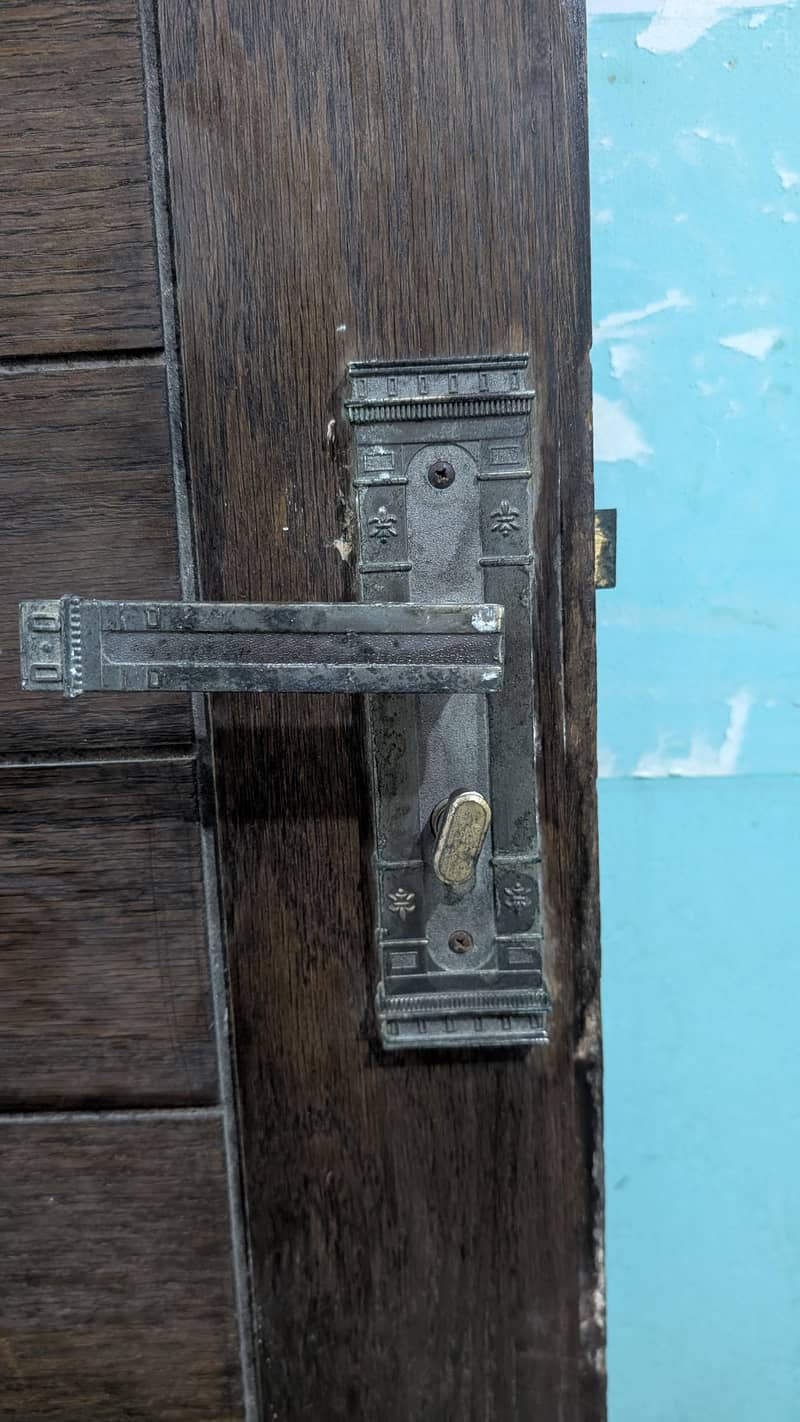 Solid wooden door 1