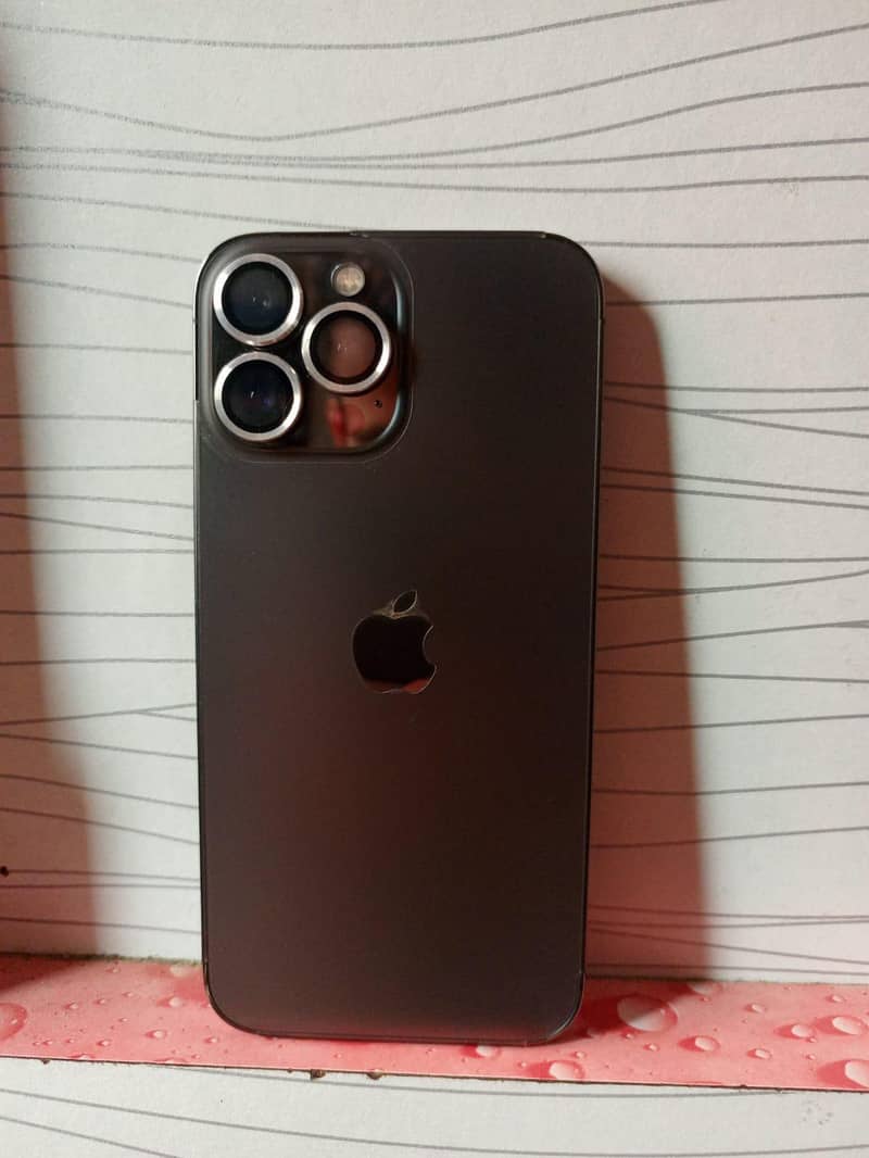Apple iPhone 13 Pro Max 1