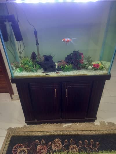 Fish tank 2,50 feet
