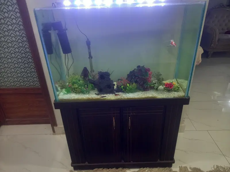 Fish tank 3 feet — photo 2