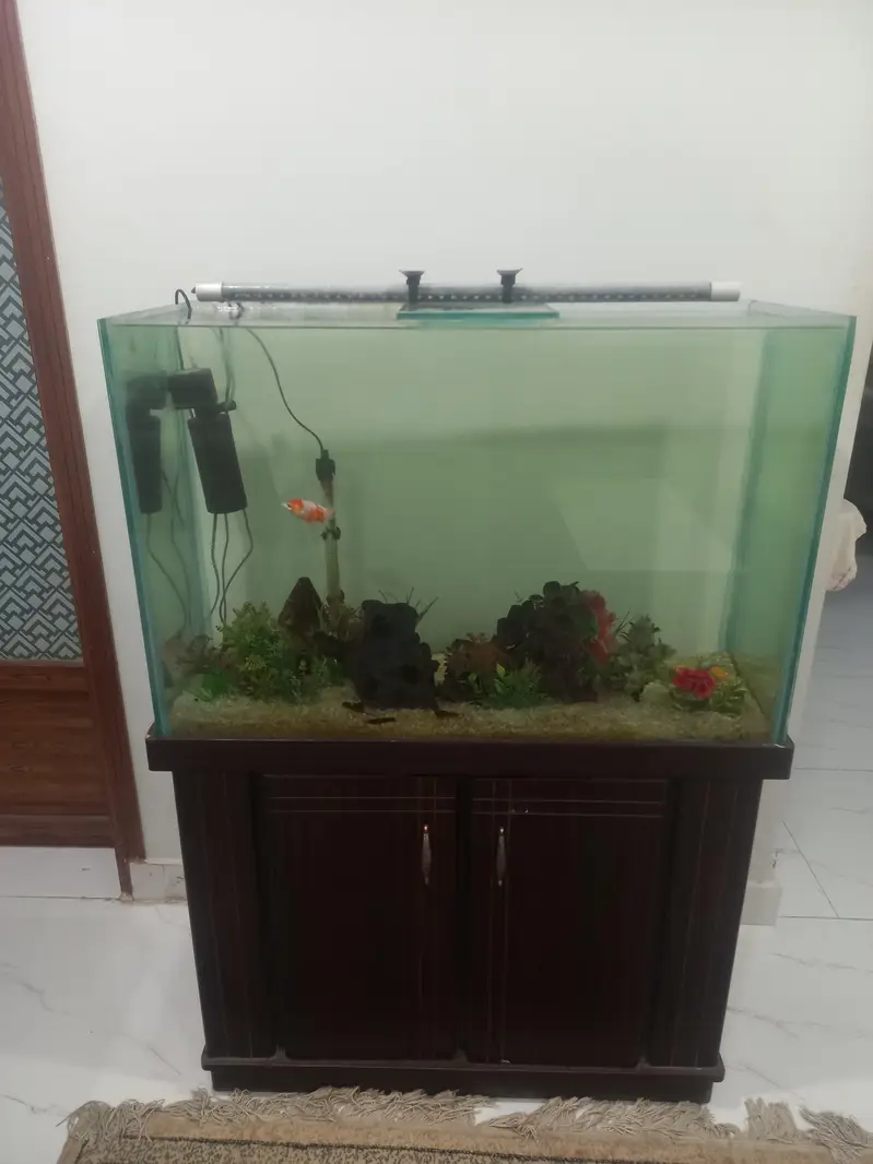 Fish tank 3 feet — photo 4