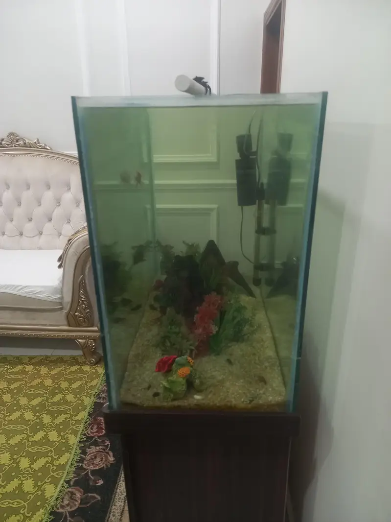 Fish tank 3 feet — photo 6