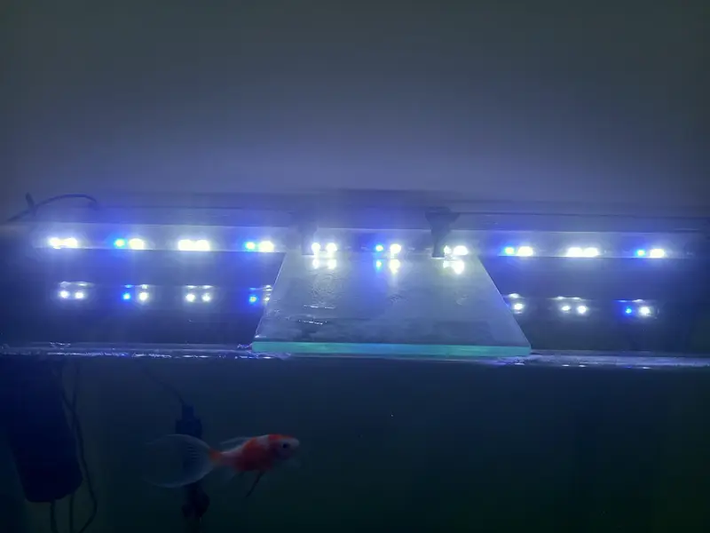 Fish tank 3 feet — photo 7
