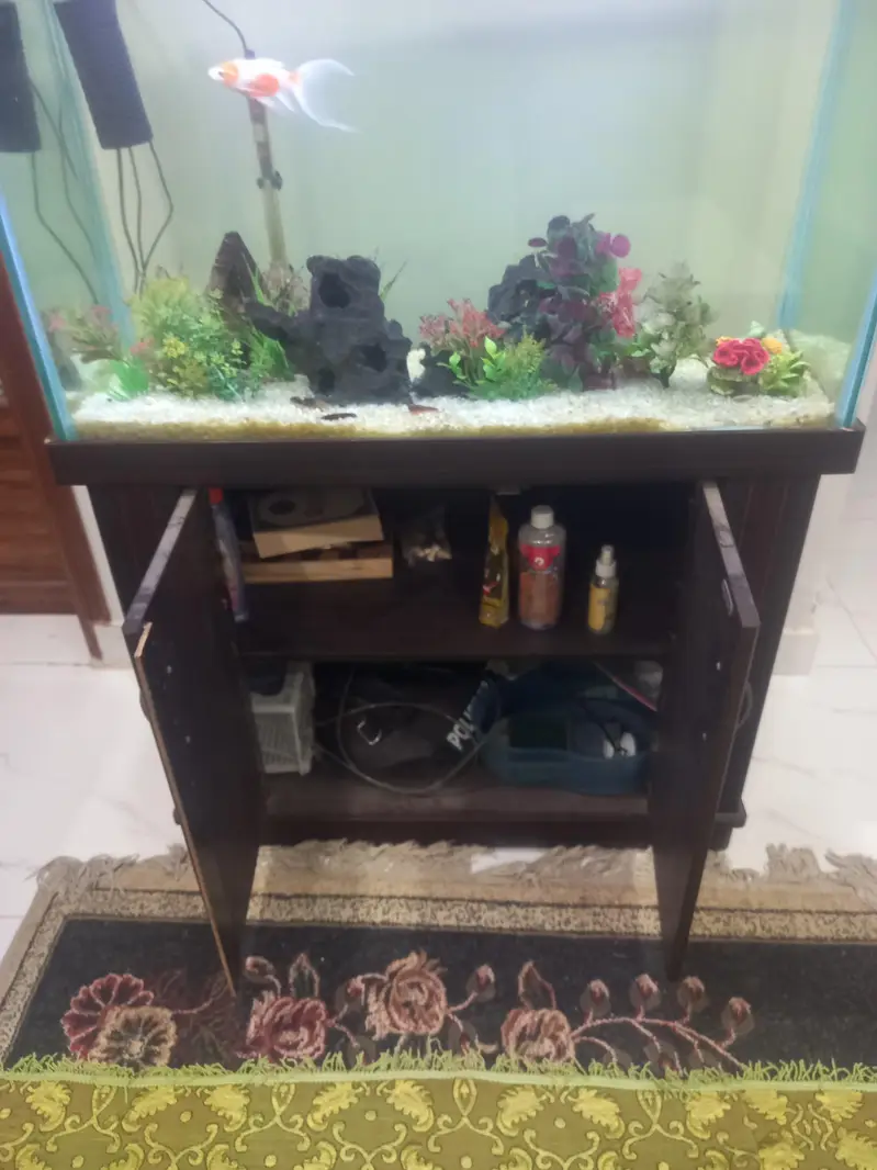 Fish tank 3 feet — photo 8