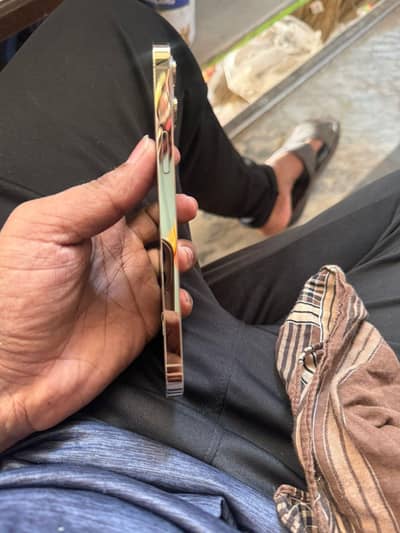 Apple iPhone 12 Pro Max