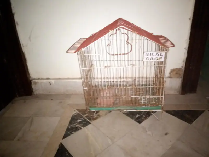 Used General Cages for Sale – Good Condition — photo 3