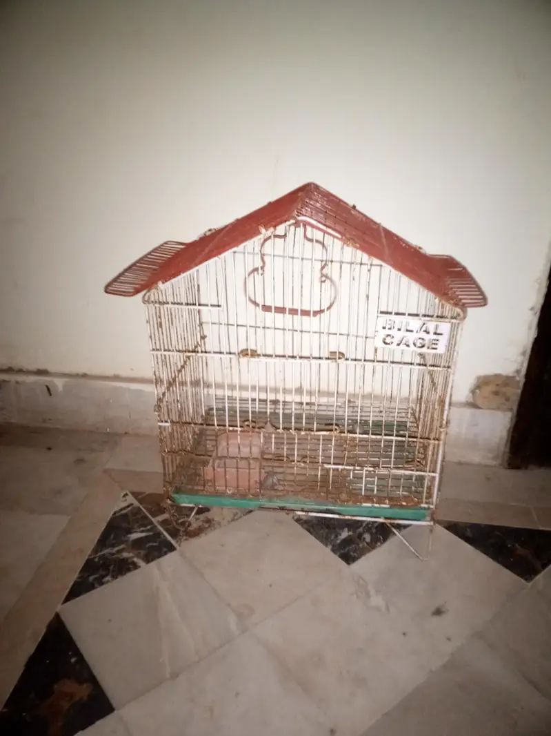 Used General Cages for Sale – Good Condition — photo 4