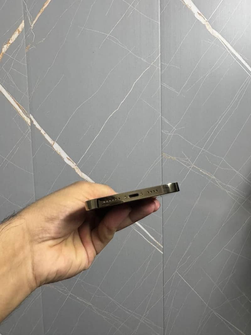 Apple iPhone 13 Pro Max 2