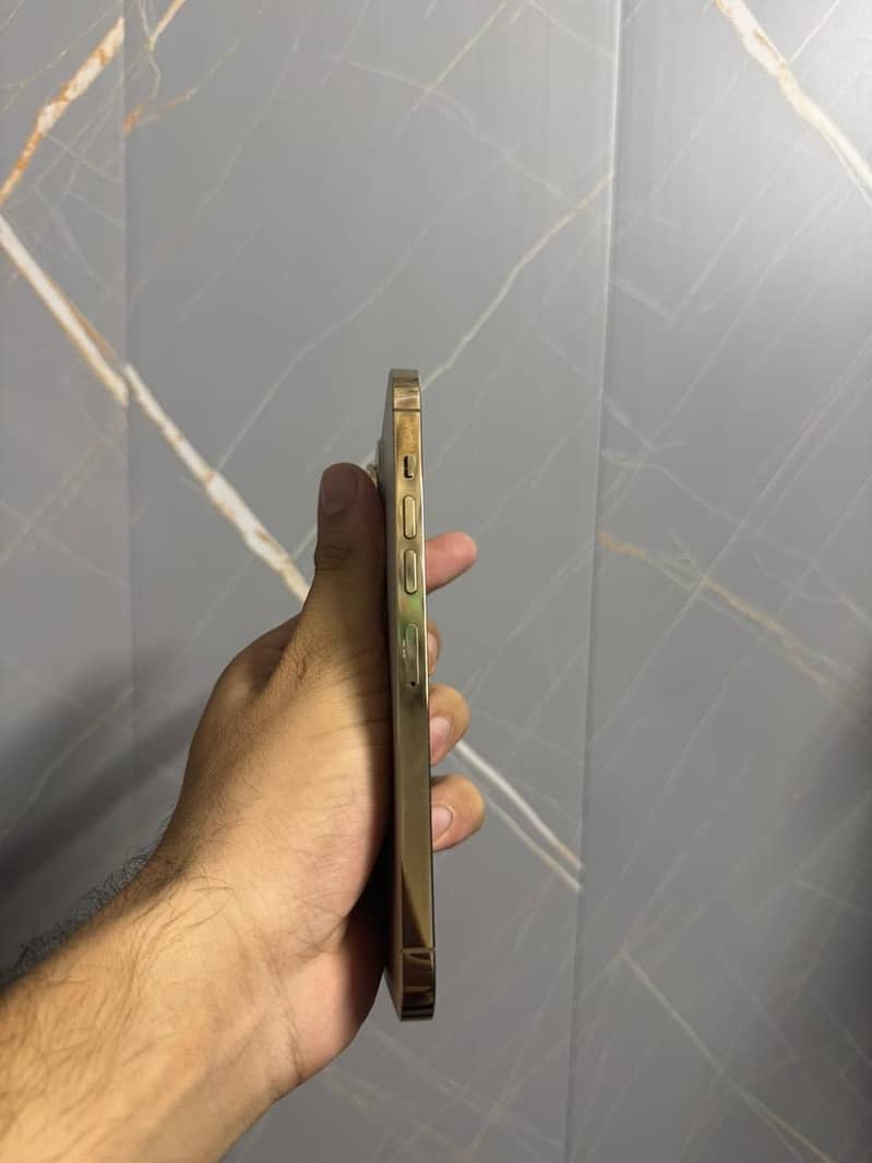 Apple iPhone 13 Pro Max 3