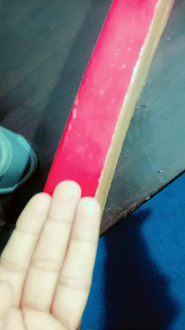 coconut bat 3