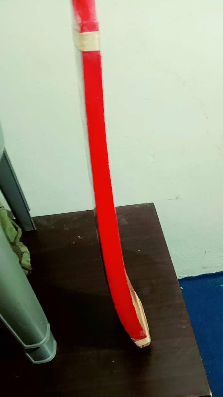 coconut bat 6