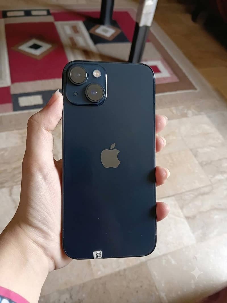 Apple iPhone 13 0