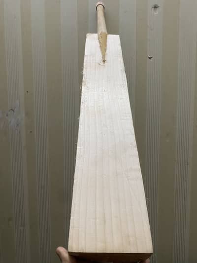 English willow cricket bat