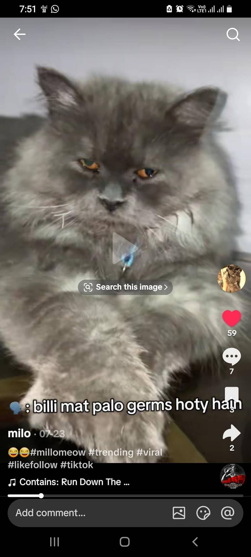 cat for slae 1