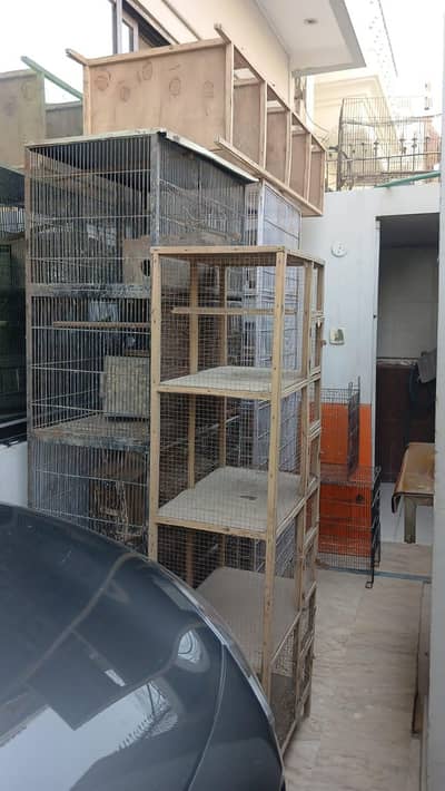 Cages for bird up for urgent sale