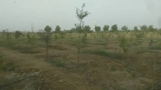 Gardening & Horticulture